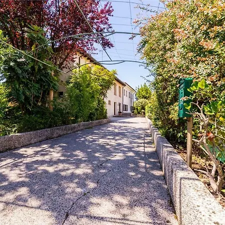 Strada Del Collalto * Susegana